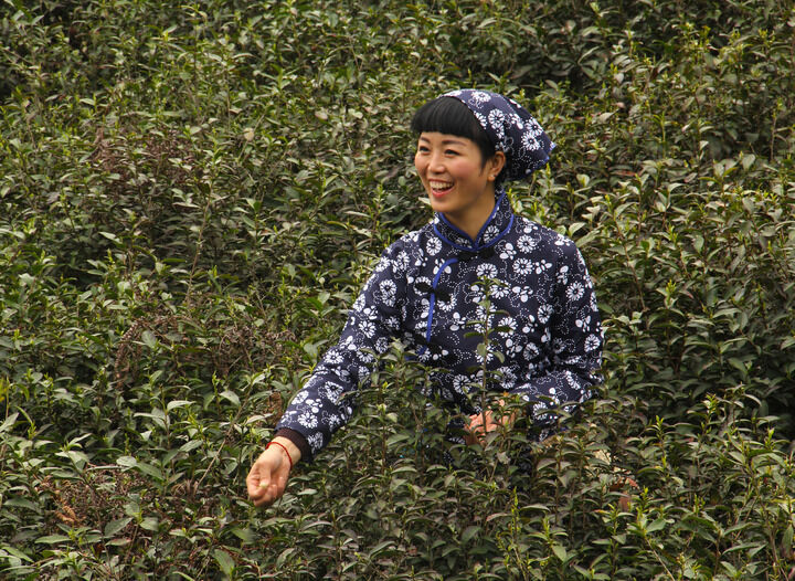 sowaychina 热门推荐